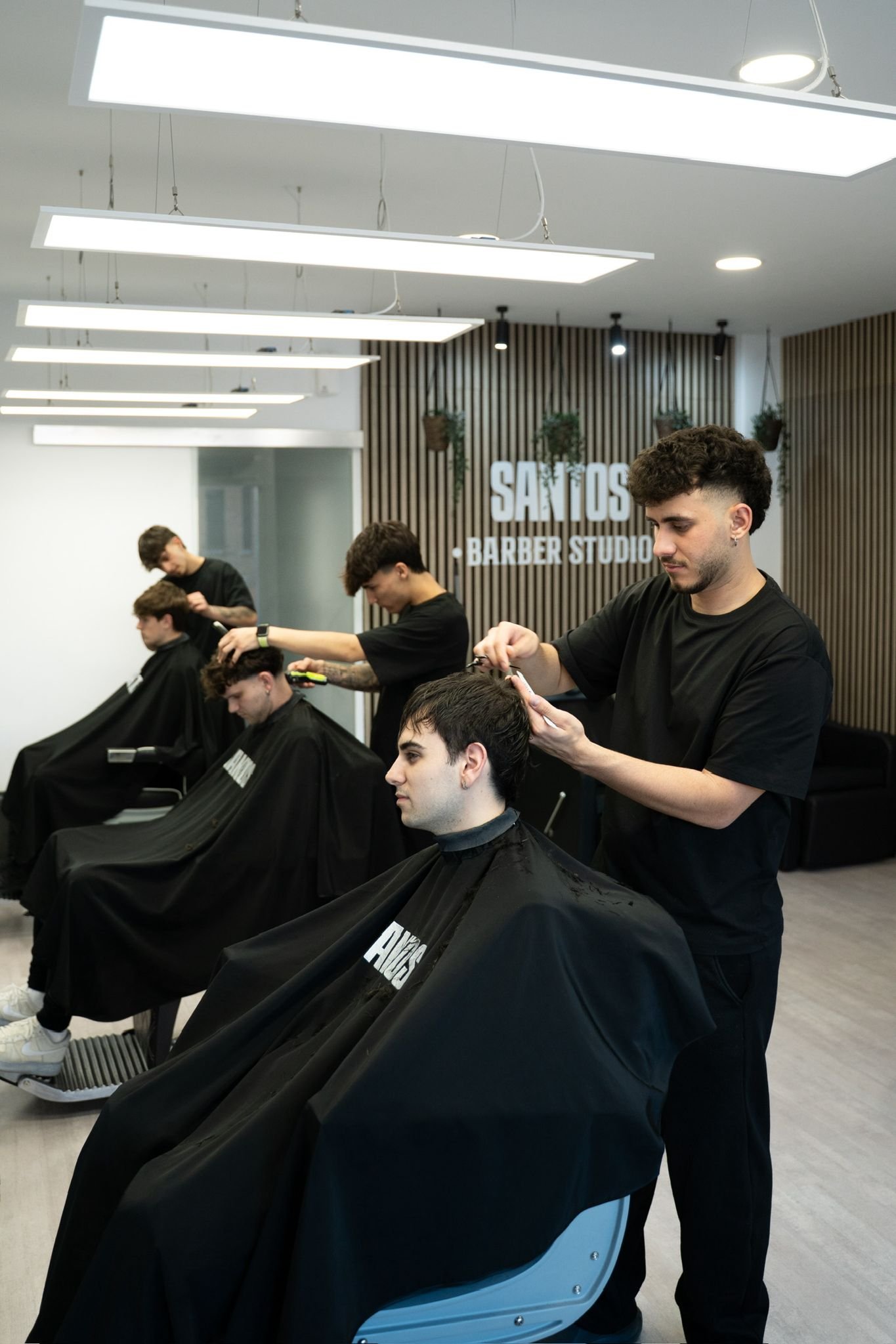 Trabajo Santos Professionals